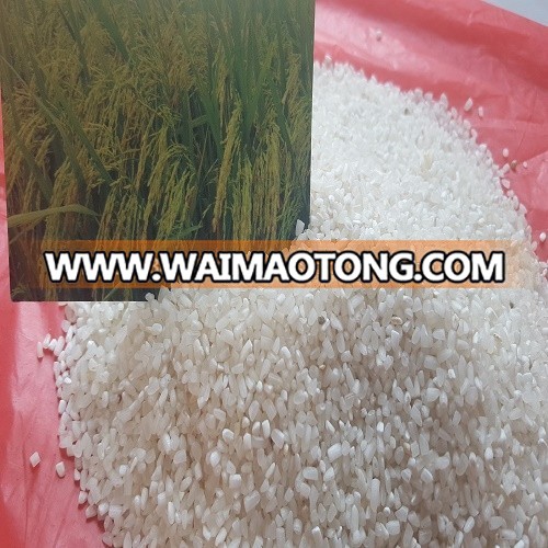 HIGH QUALITY VIETNAMESE 100% BROKEN JASMINE RICE WITH NEW CROP 2016