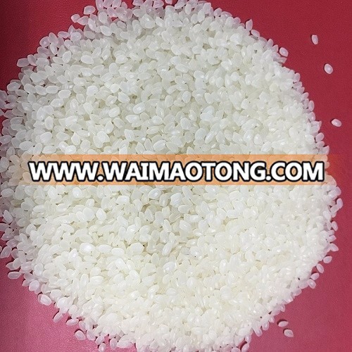 VIETNAMESE 5% BROKEN JAPo<em></em>nICA RICE WITH GOOD PRICE