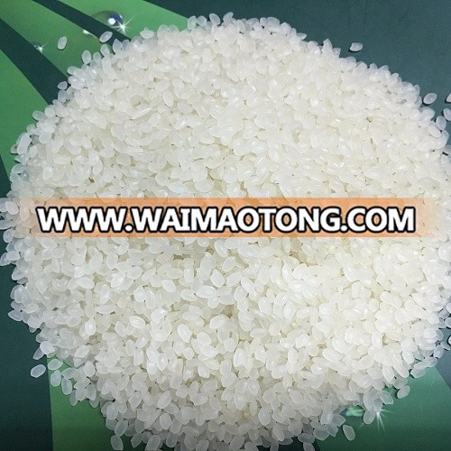 HIGH QUALITY VIETNAM 5% BROKEN SHORT RICE