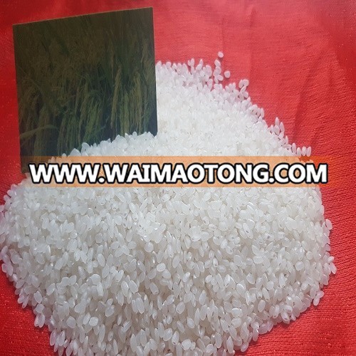 HIGH QUALITY VIETNAM 5% BROKEN SHORT RICE