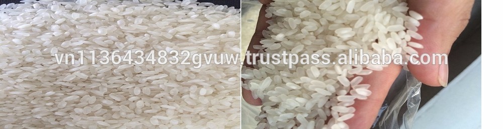 VIETNAM 5% BROKEN CALROSE RICE AT LOWEST PRICE