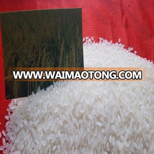 VIETNAM STANDARD 5% BROKEN MEDIUM RICE WITH GRADE A