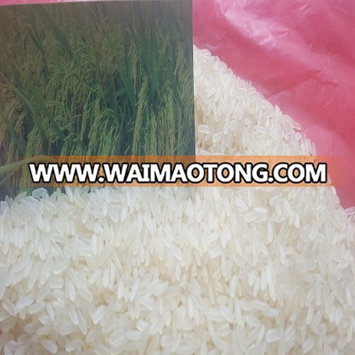 5% BROKEN PARBOILED STEAM RICE WITH TOP QUALITY