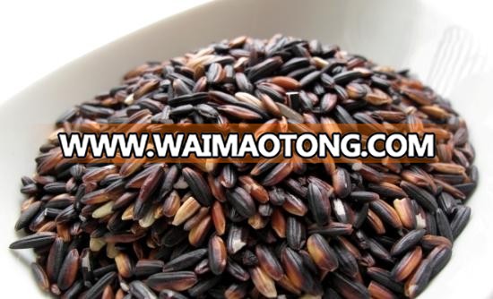 Nutritious Black Glutinous Rice