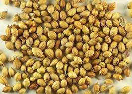 Best Prices Of High Quality Organic Coriander Seeds