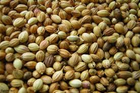 99% Natural High Quality Of Raw Material Coriander Seeds