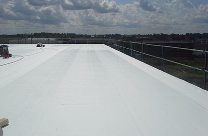 China Pop Cheap Price TPO Waterproof Membrane for Building Roof