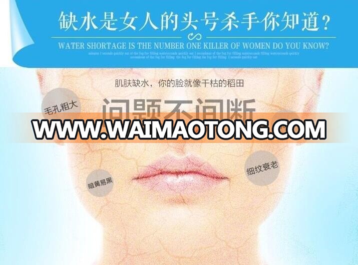 High Capacity Battery Nano Mist Facial Mist Spray Face Sprayer