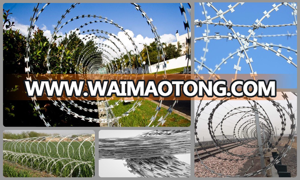 Supplier High Quality Razor Barbed Wire Best Price Airport Anti-Climb Welded Wire Mesh Hot Dip Galvanized Carbon Steel Wire