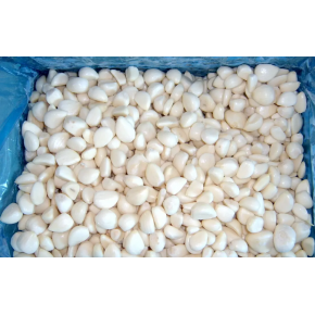 Process Flow of Frozen garlic puree tablet