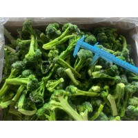 IQF Broccoli Florets