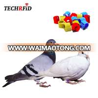 Useful RFID Pigeon C
