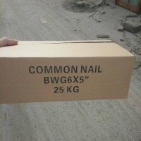 Common Nails,Polishe