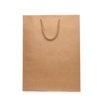 Recyclable Gifts Bag