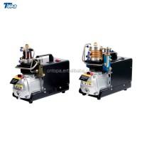 Pump And Motor Pcp R