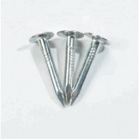 Coil Roofing Nail/ga