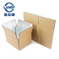 Cooler Bag Cold Box 