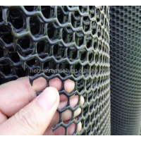 Poultry Net / Plasti