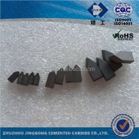 Zzjg Popular Carbide