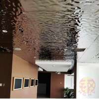 stainless ceiling de