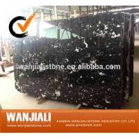 Marble Amazon Black